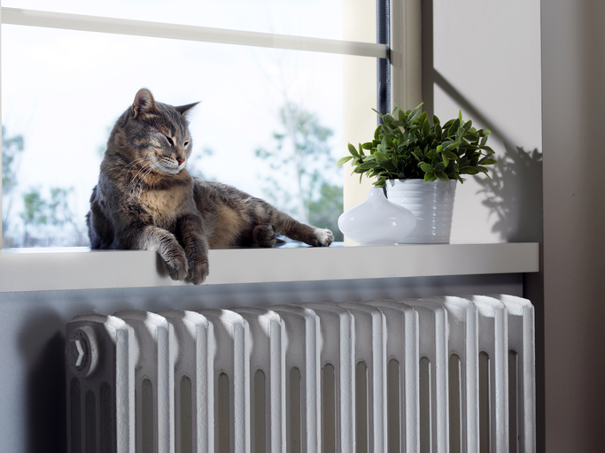 Cat Sitting Near Residential Heater